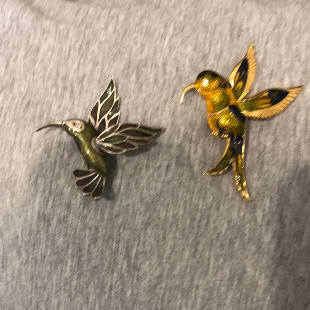 Pair of pretty Hummingbird Pins